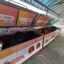 관동목장 | 횡성여행, 횡성루지체험장, 할인, 이용팁, 루지웰컴센터는 필수~