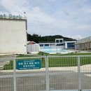 퍼스펫 애견펜션 | 경북 경주 대형 수영장이 있는 반려동물 동반 숙소 퍼스펫 애견 펜션 후기