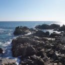 망양정로3 (지방도917) 이미지