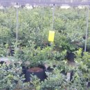 백번농장 이미지