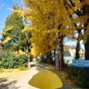 스타캐슬 PC방 이미지