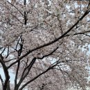 낙동강변로-4 네이버블로그