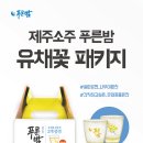 유채유통