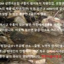 국유림속 오지 차량진입 홍천 소형 토지(자연인/전원)동호회 이미지