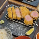 톤타 이미지