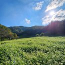 산속의정원 이미지