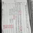 족보 티스토리