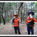 와부읍 팔당2리 이미지