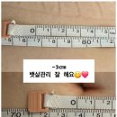 공간뷰티