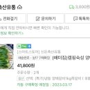 양배축산 이미지