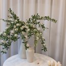 지에스25남춘천점 이미지