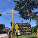 구룡계곡 순환코스 | 7. 남원 구룡폭포순환길(지리산둘레길1코스)