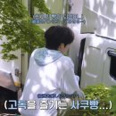 케이크츄 네이버블로그