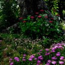 날마다 소풍 이미지