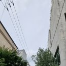 강남-116 이미지