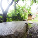 가족에게주는김 이미지