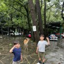 세계자동차&피아노박물관 | 제주 세계 자동차&amp;피아노 박물관 내돈 내산 방문 후기