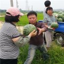 군서면경로당 이미지