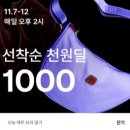 스타럭스포터 이미지