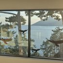 트리나하우스 이미지