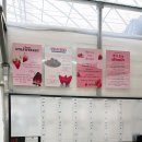 테멘어린이집_앞_CCTV1 | 경기도 포천 농장 딸기 체험 시설 가격 활동 싯가 딸기밭 분양 후기