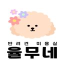 율무네애견 이미지