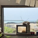 씨유제주세화해변점 | 제주도 구좌읍 카페 한라산 세화해변 오션뷰 제주 구좌 가볼만한곳