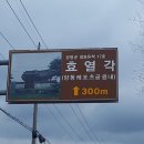 쌍학리 효열각 네이버블로그