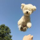 강대 Daum카페
