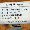 길상초등학교 이미지