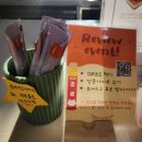 양코치 애견카페 이미지