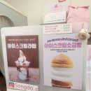 씨스페이스 고양어울림점 | [송도 소금빵맛집] 송도씨ㅣ다양한 종류의 소금빵❗| 또또또간집 | 내돈내산