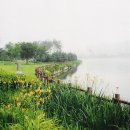 (주)푸른숲 - 철원군 | (주)푸른숲