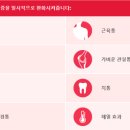 타이레놀 티스토리