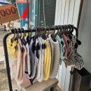 옷빨 | 일산강아지옷 판매점 &#39;아베크슈&#39; 털빨보단 옷빨이죠.