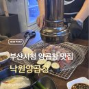 낙원주 | 부산시청맛집 부산양곱창 | 직접 구워주시는 낙원양곱창 후기