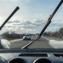 금호카포스 이미지