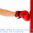 위빙복싱클럽 이미지