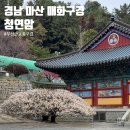 자산동247 이미지