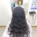 샐리헤어살롱