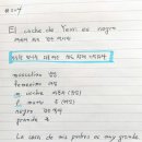 예씨(yessi)