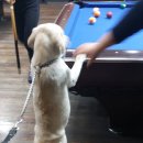 친구네당구장 이미지