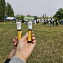 경강선 이천역 | [경기도 여주] 2026년 여강길 걷기축제 후기