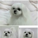 주주PC클럽 이미지