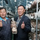 김성기농장 이미지