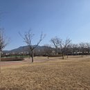 대저수문공원 이미지