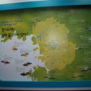 고기연구소 이미지