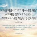 스바냐