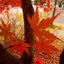 응암공원 이미지