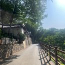 팔공산녹색길 숲길 1코스 | 대구 팔공산 트레일러닝 코스 분석｜신숭겸유적지~깔딱재~도성사 환종주 후기